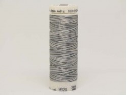 Нить для вышивания мультиколор POLY SHEEN MULTI, 200 м. (color 9920)